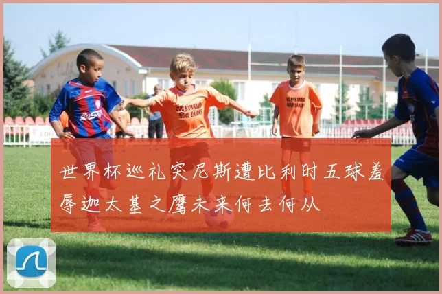 世界杯巡礼突尼斯遭比利时五球羞辱迦太基之鹰未来何去何从